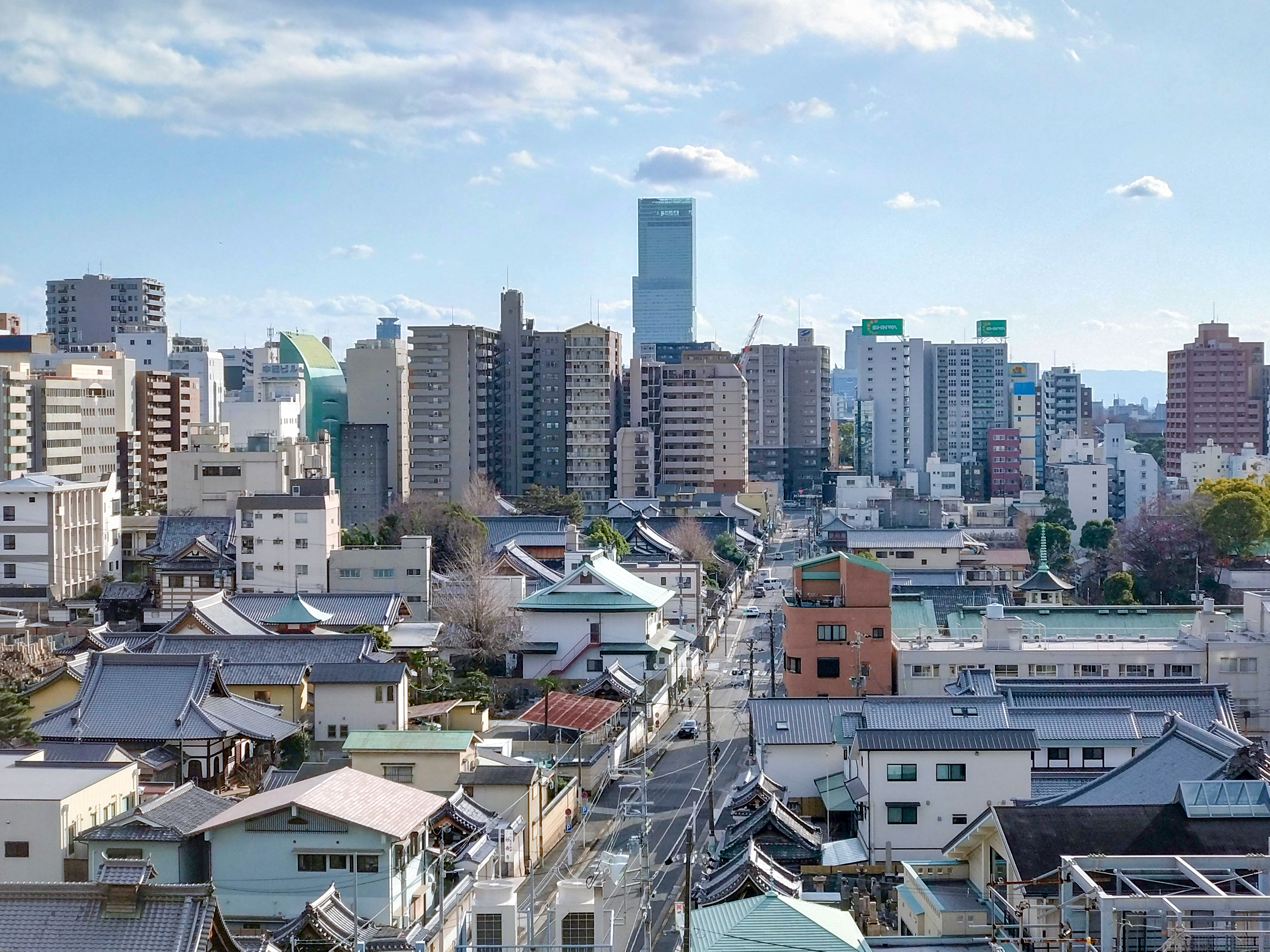 セクション画像